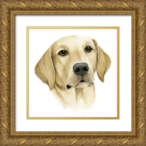 Humans Best Friend I Gold Ornate Wood Framed Art Print with Double Matting by Popp, Grace