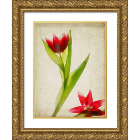 Parchment Flowers II Gold Ornate Wood Framed Art Print with Double Matting by Stalus, Judy