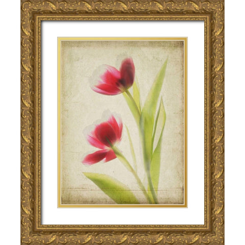 Parchment Flowers III Gold Ornate Wood Framed Art Print with Double Matting by Stalus, Judy