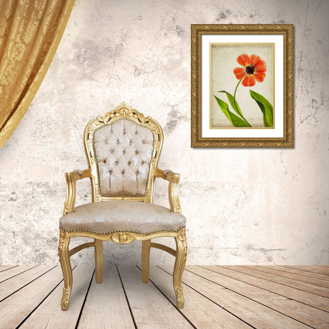 Parchment Flowers V Gold Ornate Wood Framed Art Print with Double Matting by Stalus, Judy