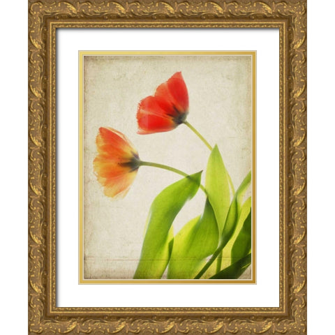 Parchment Flowers VI Gold Ornate Wood Framed Art Print with Double Matting by Stalus, Judy