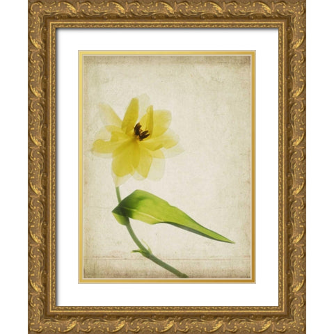Parchment Flowers VII Gold Ornate Wood Framed Art Print with Double Matting by Stalus, Judy