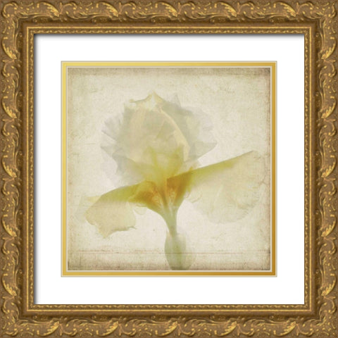 Parchment Flowers IX Gold Ornate Wood Framed Art Print with Double Matting by Stalus, Judy