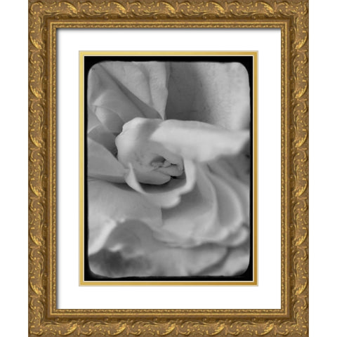 Rose Spiral II Gold Ornate Wood Framed Art Print with Double Matting by Stalus, Judy