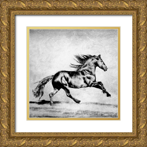 BandW Horses II Gold Ornate Wood Framed Art Print with Double Matting by PHBurchett