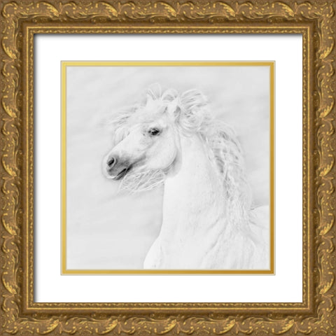 BandW Horses III Gold Ornate Wood Framed Art Print with Double Matting by PHBurchett