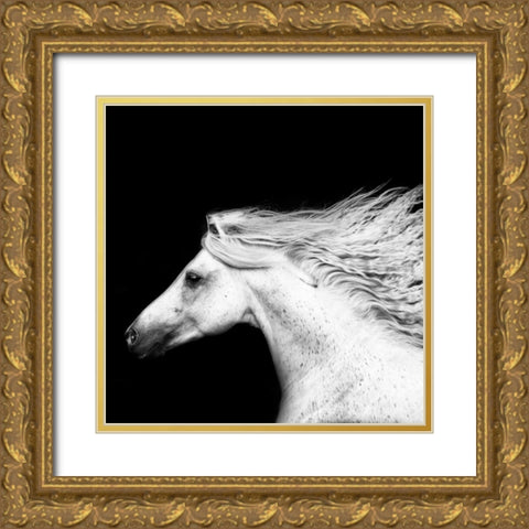 BandW Horses V Gold Ornate Wood Framed Art Print with Double Matting by PHBurchett