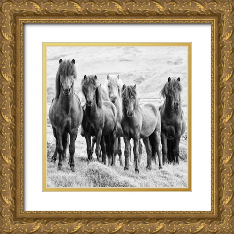 BandW Horses VIII Gold Ornate Wood Framed Art Print with Double Matting by PHBurchett