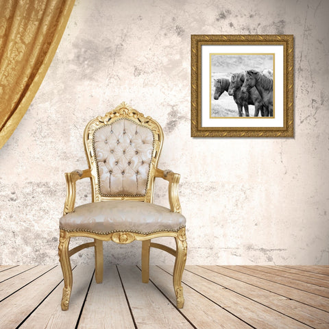 BandW Horses X Gold Ornate Wood Framed Art Print with Double Matting by PHBurchett