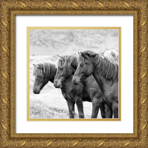 BandW Horses X Gold Ornate Wood Framed Art Print with Double Matting by PHBurchett
