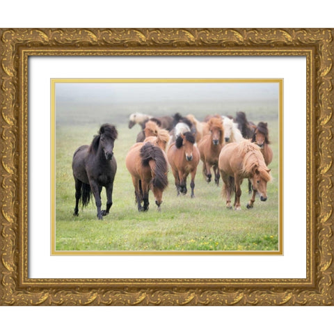 Grassland Horses II Gold Ornate Wood Framed Art Print with Double Matting by PHBurchett