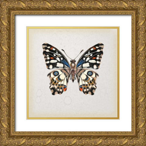 Butterfly Study II Gold Ornate Wood Framed Art Print with Double Matting by Wang, Melissa