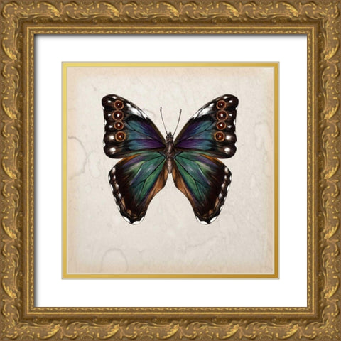 Butterfly Study III Gold Ornate Wood Framed Art Print with Double Matting by Wang, Melissa