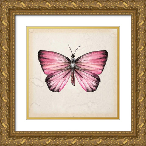 Butterfly Study IV Gold Ornate Wood Framed Art Print with Double Matting by Wang, Melissa