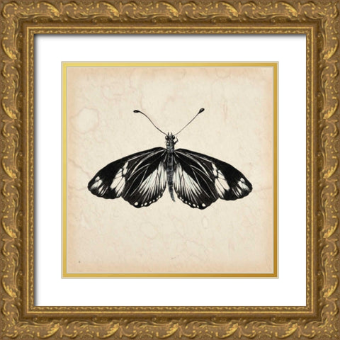 Butterfly Study VI Gold Ornate Wood Framed Art Print with Double Matting by Wang, Melissa