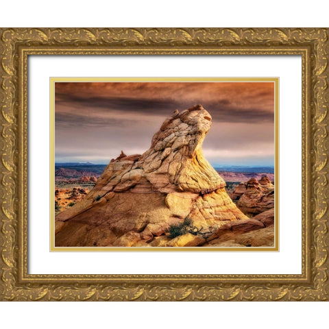 Arizona Peaks II Gold Ornate Wood Framed Art Print with Double Matting by Drost, David