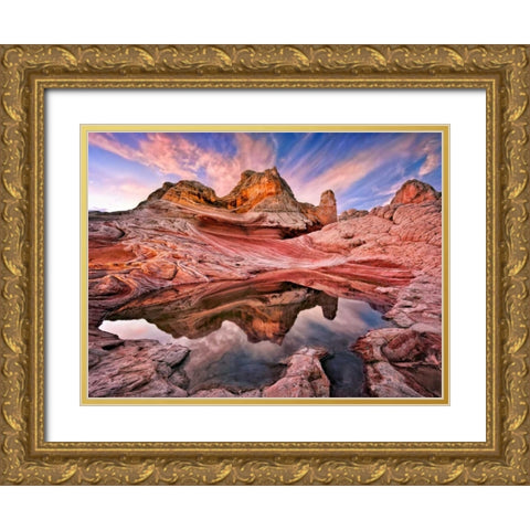 Arizona Reflection I Gold Ornate Wood Framed Art Print with Double Matting by Drost, David