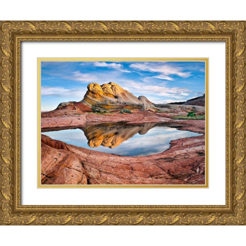 Arizona Reflection II Gold Ornate Wood Framed Art Print with Double Matting by Drost, David
