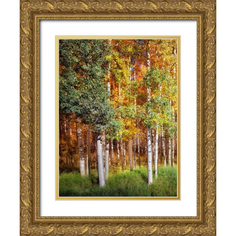 Aspen Glen I Gold Ornate Wood Framed Art Print with Double Matting by Drost, David