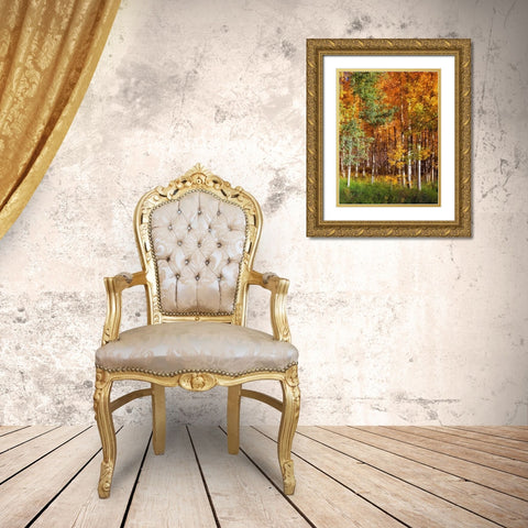 Aspen Glen II Gold Ornate Wood Framed Art Print with Double Matting by Drost, David