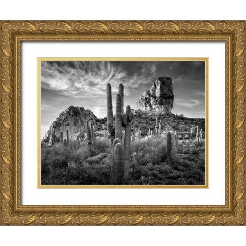 BandW Desert View I Gold Ornate Wood Framed Art Print with Double Matting by Drost, David