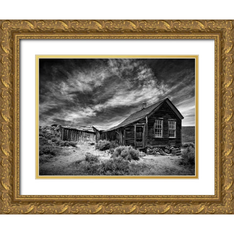 BandW Desert View III Gold Ornate Wood Framed Art Print with Double Matting by Drost, David