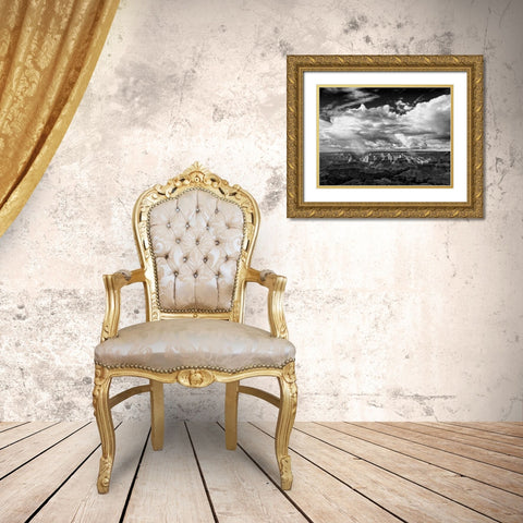 BandW Desert View IV Gold Ornate Wood Framed Art Print with Double Matting by Drost, David