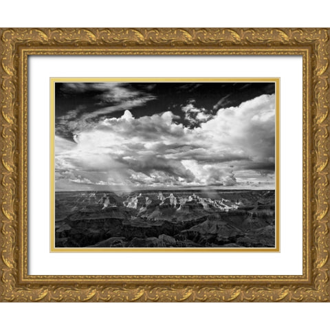 BandW Desert View IV Gold Ornate Wood Framed Art Print with Double Matting by Drost, David