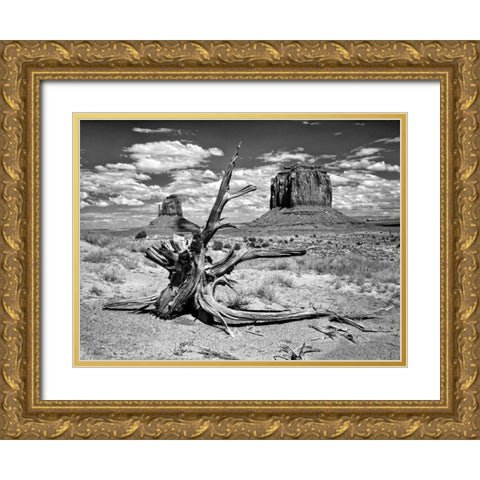 BandW Desert View V Gold Ornate Wood Framed Art Print with Double Matting by Drost, David
