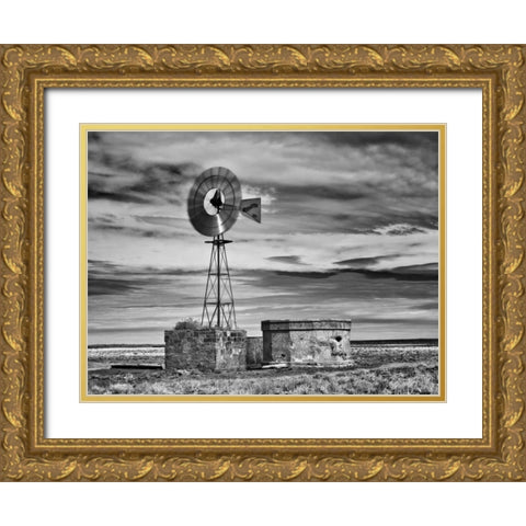 BandW Desert View VI Gold Ornate Wood Framed Art Print with Double Matting by Drost, David