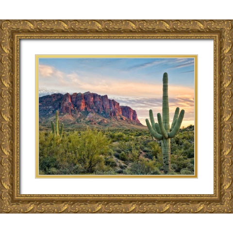 Cacti View II Gold Ornate Wood Framed Art Print with Double Matting by Drost, David