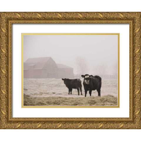 Farm Study III Gold Ornate Wood Framed Art Print with Double Matting by Mead, Adam
