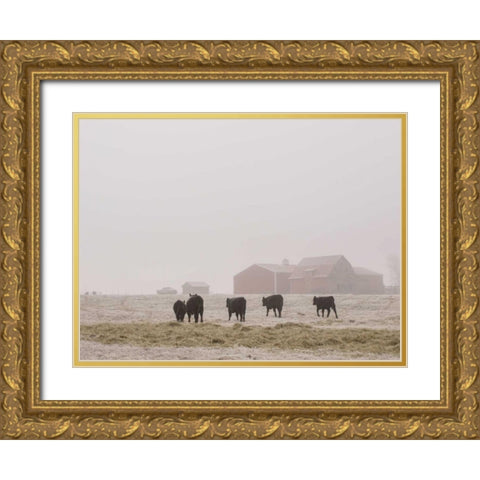 Farm Study IV Gold Ornate Wood Framed Art Print with Double Matting by Mead, Adam