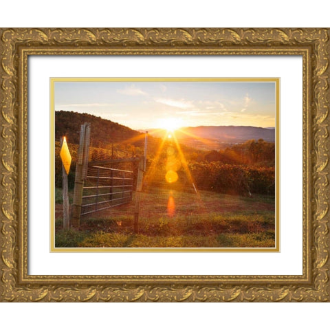 Farm Study VII Gold Ornate Wood Framed Art Print with Double Matting by Mead, Adam