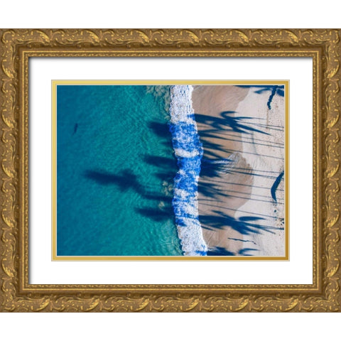 Hawaii View VI Gold Ornate Wood Framed Art Print with Double Matting by Mead, Adam