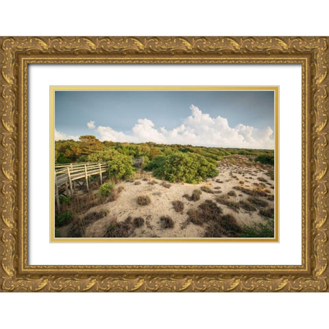 First Landing Dunes I Gold Ornate Wood Framed Art Print with Double Matting by Mead, Adam