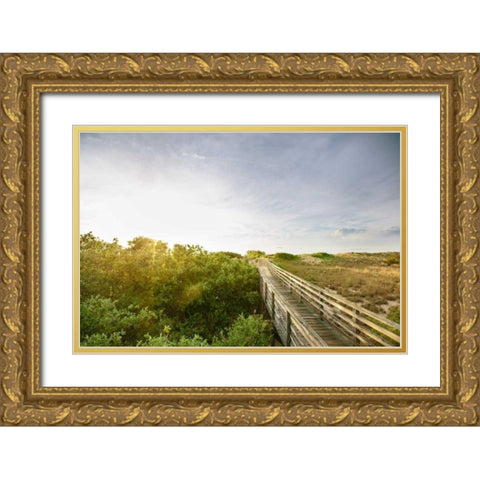 First Landing Dunes II Gold Ornate Wood Framed Art Print with Double Matting by Mead, Adam