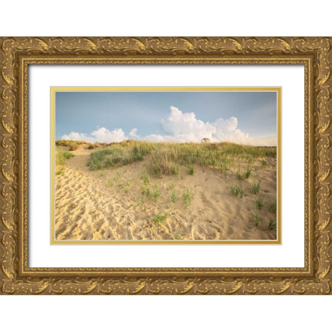First Landing Dunes IV Gold Ornate Wood Framed Art Print with Double Matting by Mead, Adam
