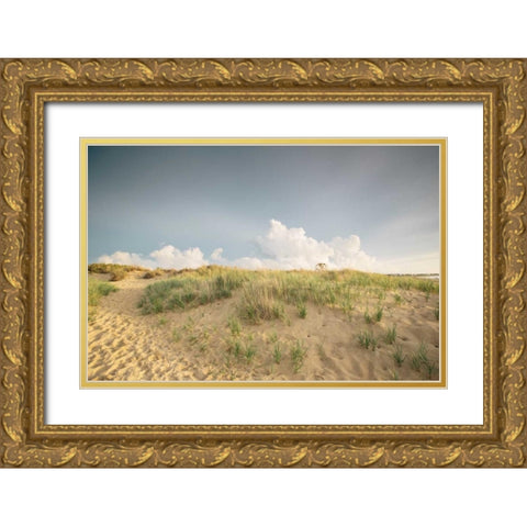 First Landing Dunes V Gold Ornate Wood Framed Art Print with Double Matting by Mead, Adam