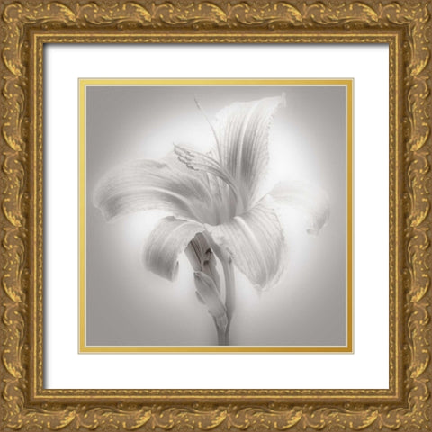 Tiger Lily II Gold Ornate Wood Framed Art Print with Double Matting by McLoughlin, James