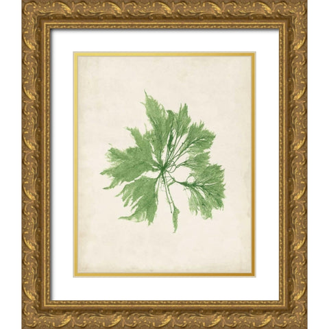 Peridot Seaweed I Gold Ornate Wood Framed Art Print with Double Matting by Vision Studio