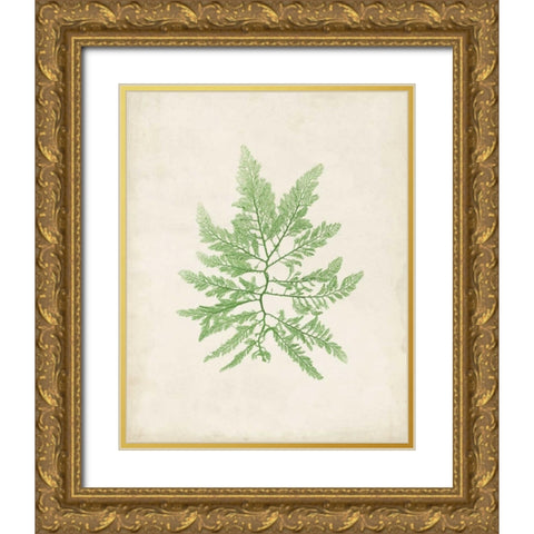 Peridot Seaweed II Gold Ornate Wood Framed Art Print with Double Matting by Vision Studio