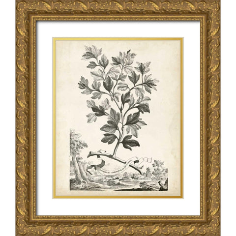Scenic Botanical V Gold Ornate Wood Framed Art Print with Double Matting by Munting, Abraham