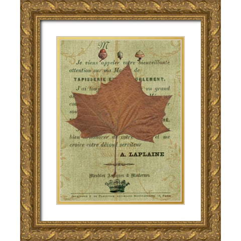 Autumn Leaf II Gold Ornate Wood Framed Art Print with Double Matting by Lloyd, Sandy