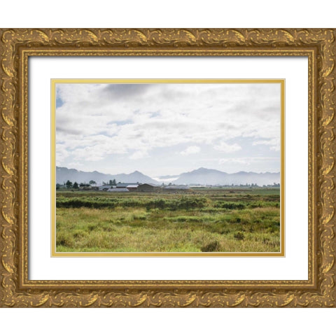 Pacific Northwest Oregon XII Gold Ornate Wood Framed Art Print with Double Matting by Mead, Adam