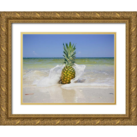 South Florida Pineapple IV Gold Ornate Wood Framed Art Print with Double Matting by Mead, Adam