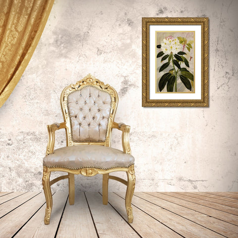 Rhododendron I Gold Ornate Wood Framed Art Print with Double Matting by Butler, John