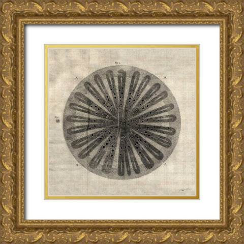 Cross Cut III Gold Ornate Wood Framed Art Print with Double Matting by Butler, John
