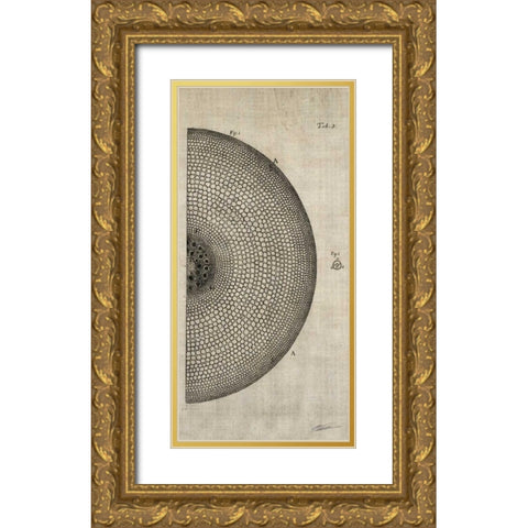 Cross Cut I Right Gold Ornate Wood Framed Art Print with Double Matting by Butler, John