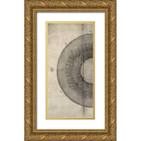 Cross Cut II Left Gold Ornate Wood Framed Art Print with Double Matting by Butler, John